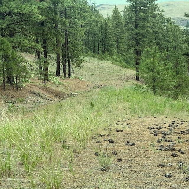 31905 East Ruffed Grouse Dr