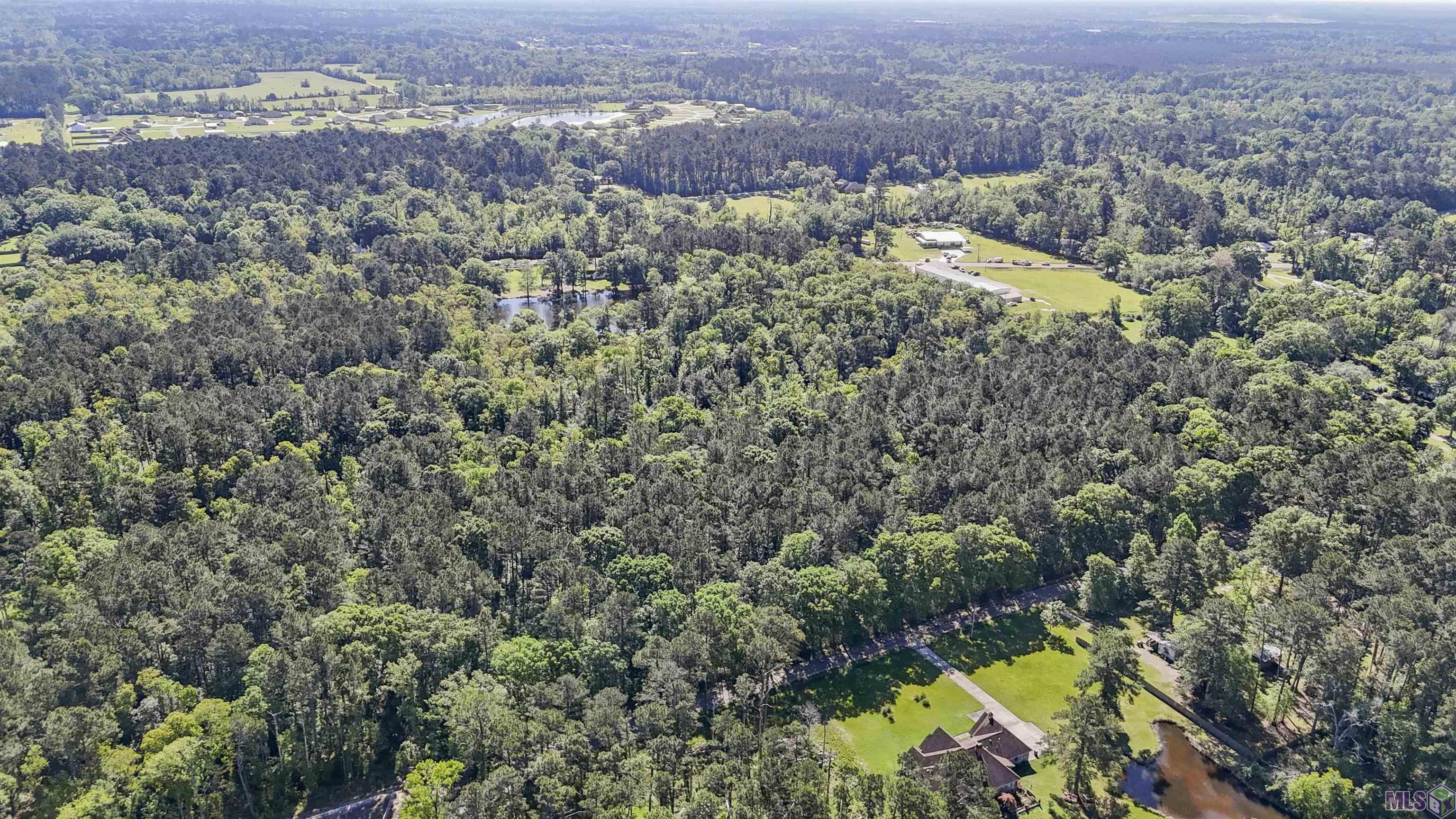 Tbd Avants Road Walker, LA 70785 - Photo 2 of 9