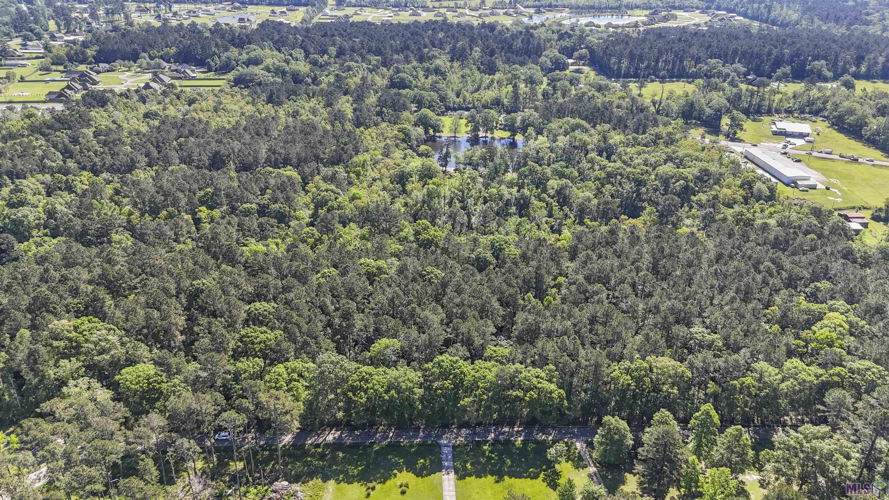 Tbd Avants Road Walker, LA 70785 - Photo 3 of 9