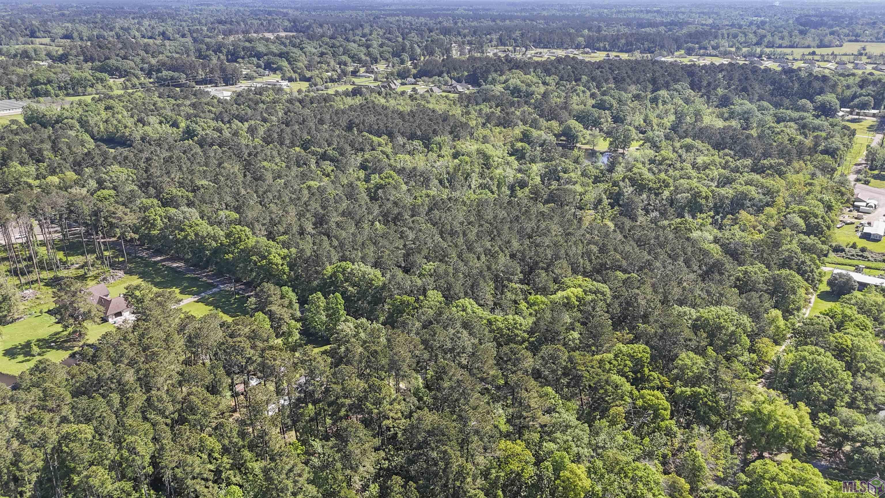 Tbd Avants Road Walker, LA 70785 - Photo 4 of 9