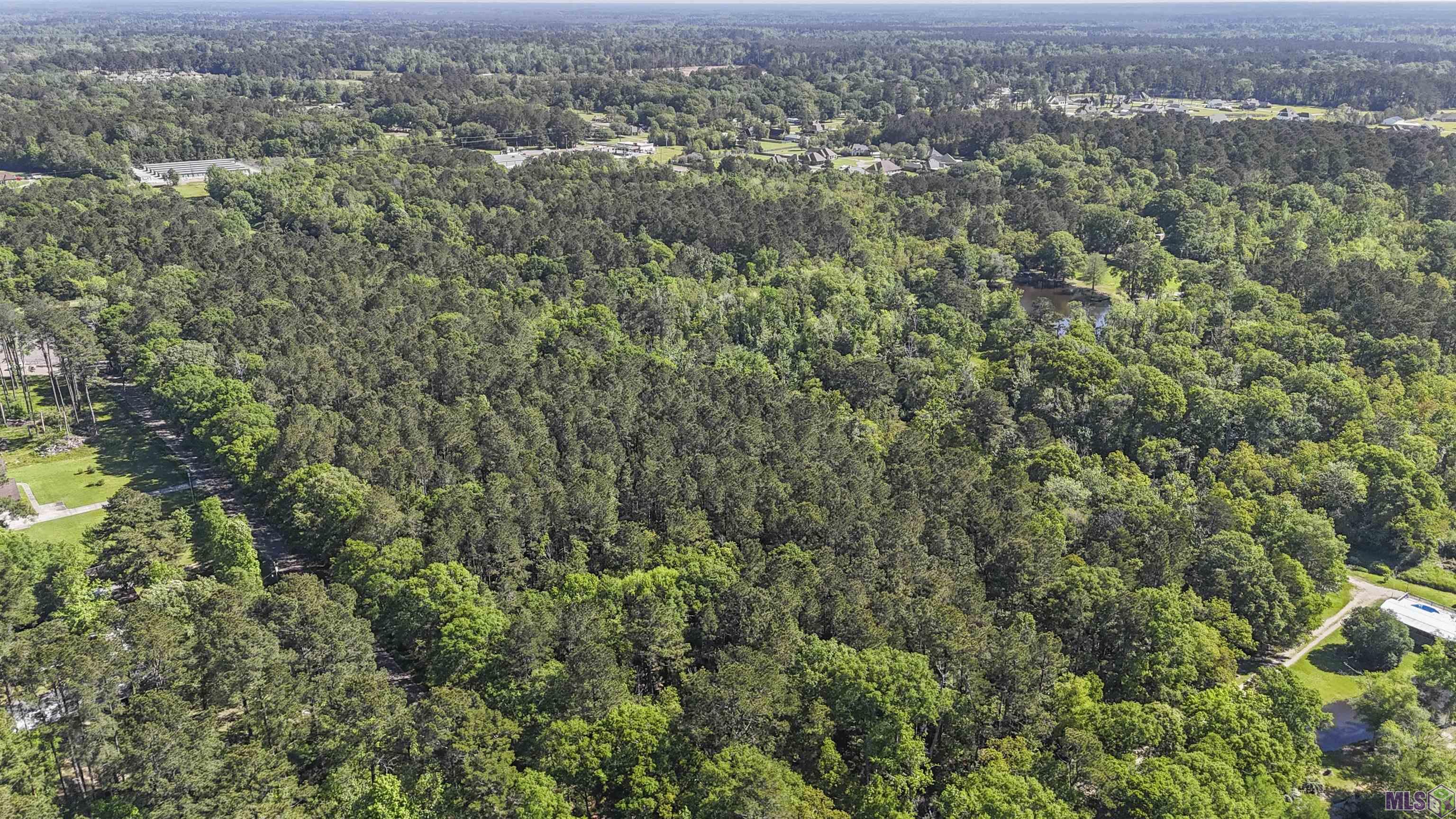 Tbd Avants Road Walker, LA 70785 - Photo 5 of 9