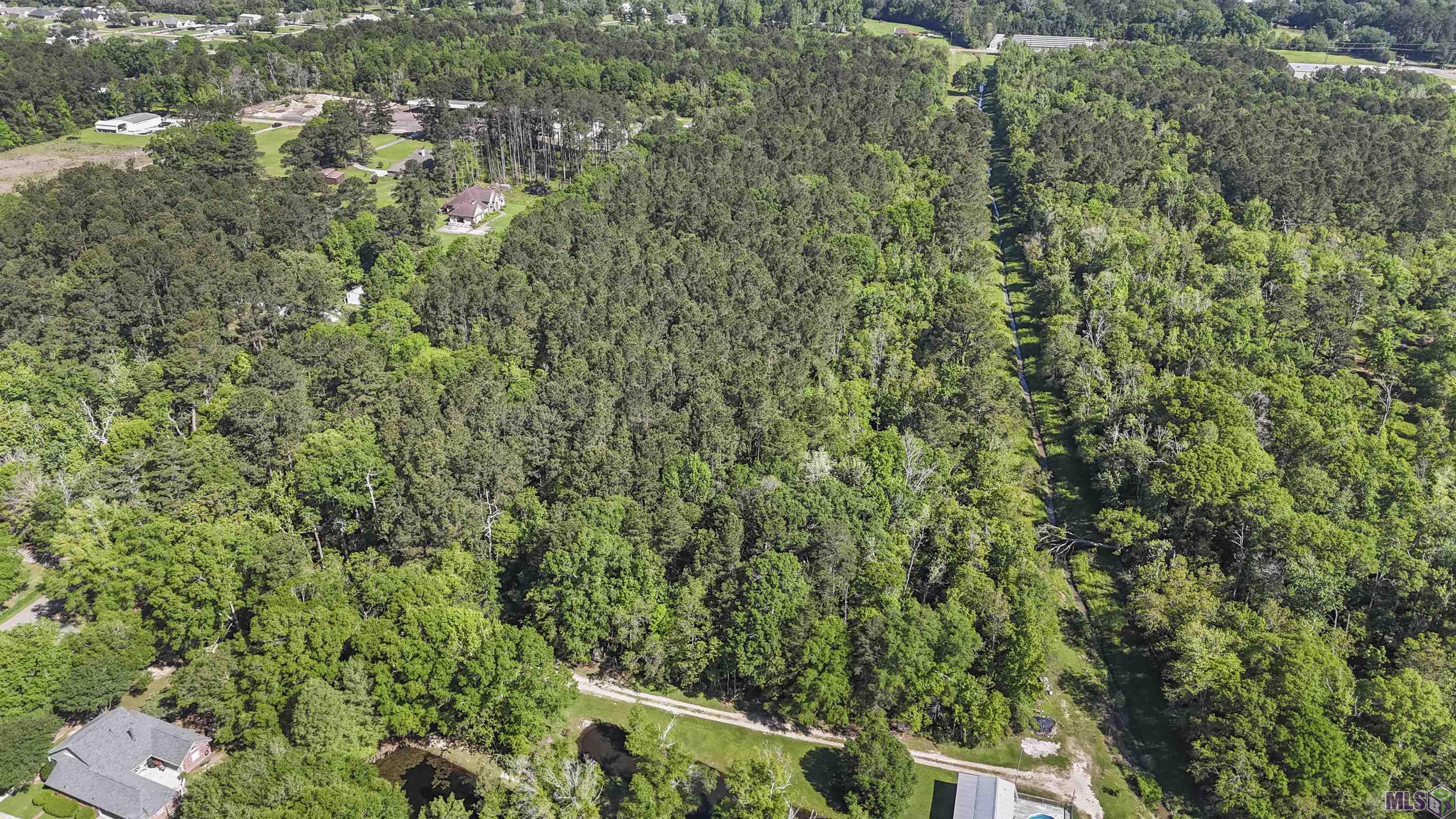 Tbd Avants Road Walker, LA 70785 - Photo 9 of 9