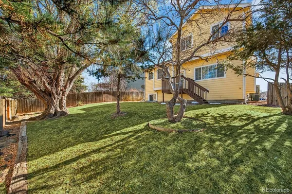 a view of a yard with a tree