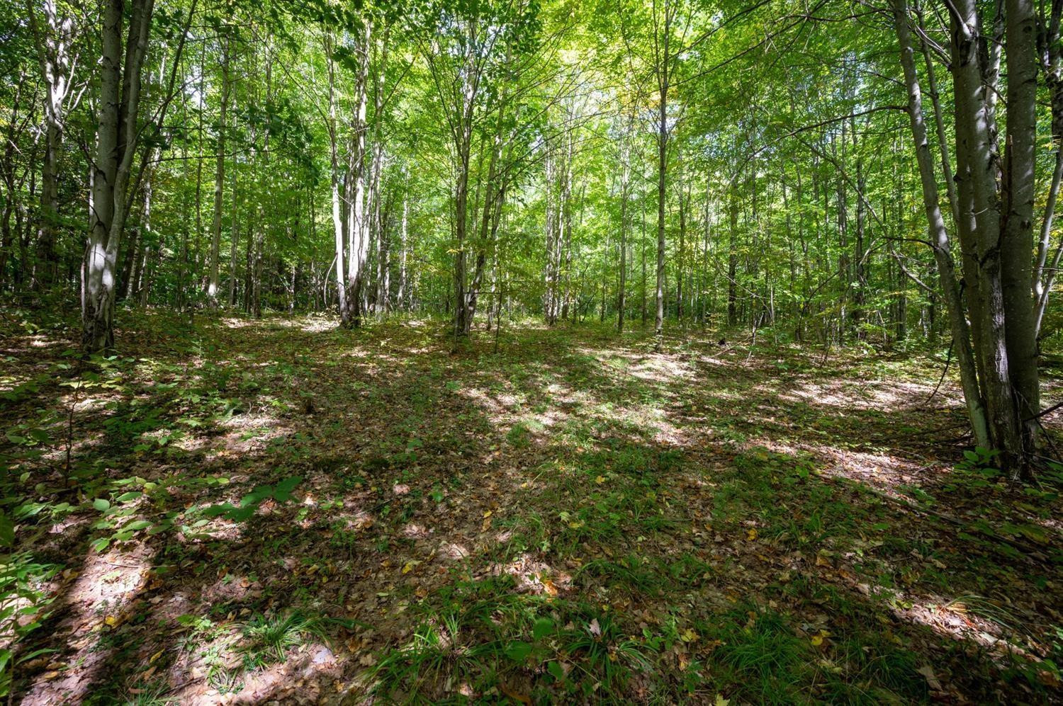 266 Norton Road Maryland, NY 12155 - Photo 23 of 33 Photo 23