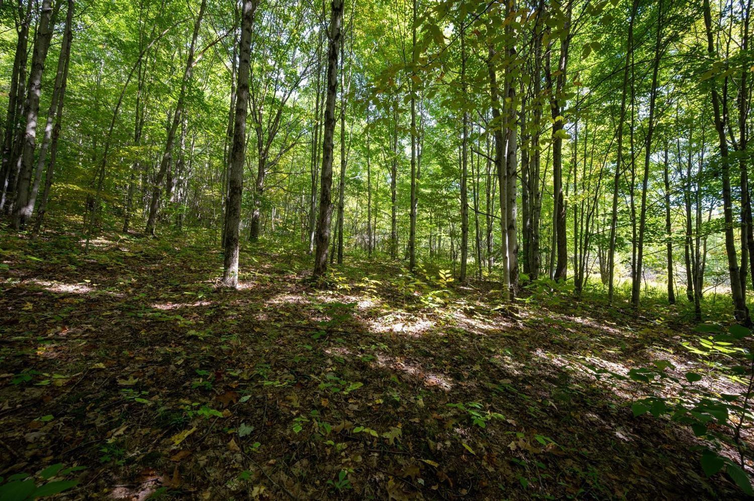 266 Norton Road Maryland, NY 12155 - Photo 24 of 33 Photo 24