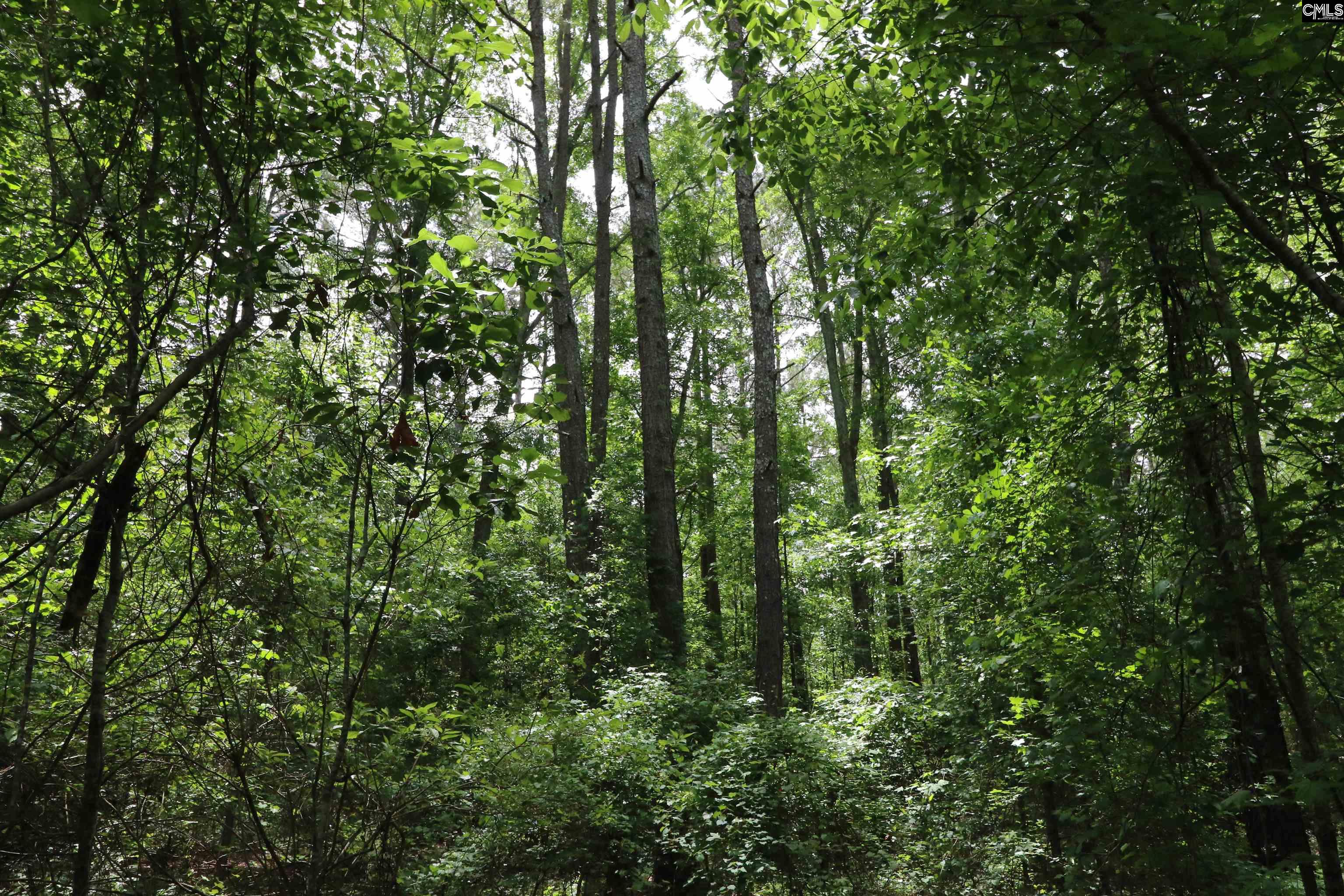 1091 Pine Grove Road Leesville, SC 29070 - Photo 5 of 19