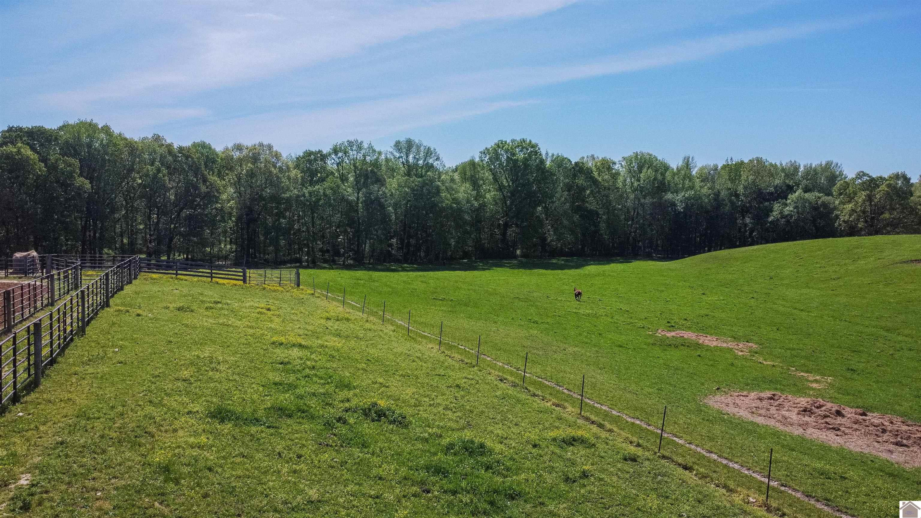 715 Corinth Church Road Grand Rivers, KY 42045 - Photo 23 of 47 Photo 23