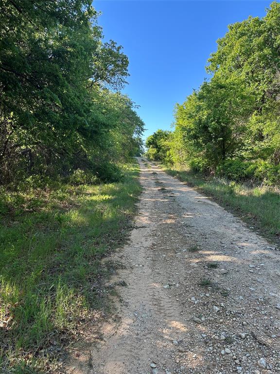 2247 Highway 2247 Comanche, TX 76442 - Photo 4 of 10 a view of a yard with large trees