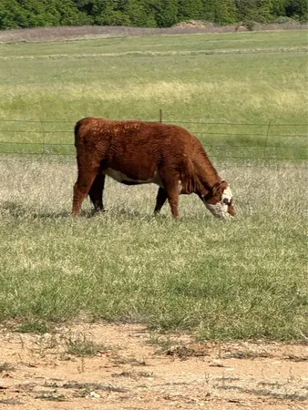 $154,588 | 2247 Highway 2247, Comanche, TX 76442