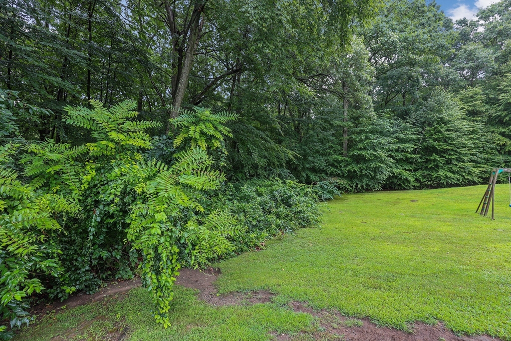 23 Aurora Street Worcester, MA 01607 - Photo 4 of 6