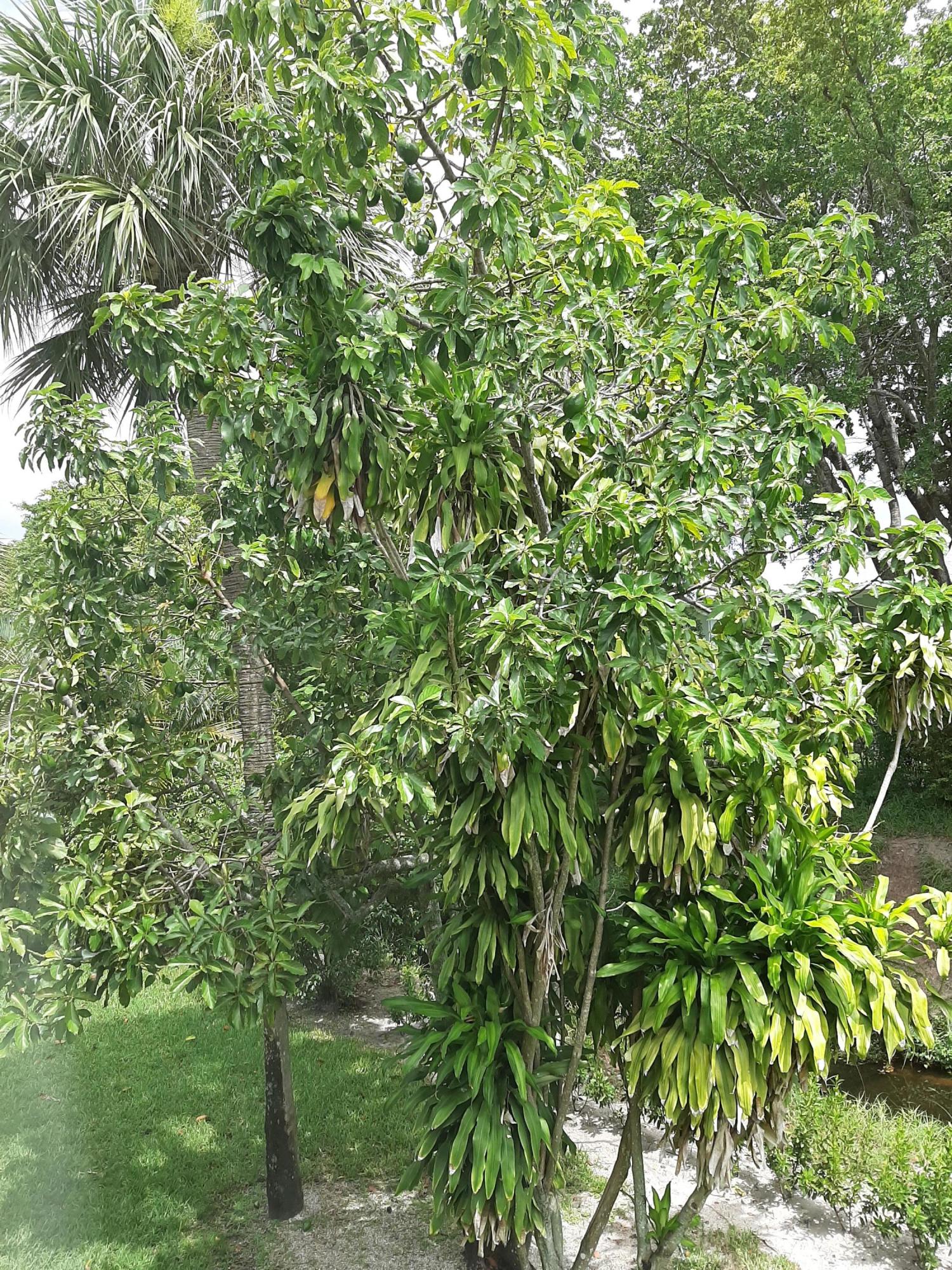 2820 Southwest 22nd Avenue, Unit 202 Delray Beach, FL 33445 - Photo 23 of 49 Bedroom Window View