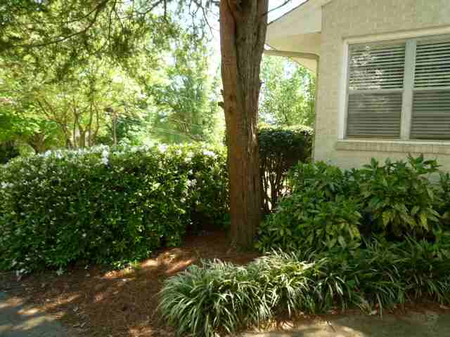 109 Ridgecrest Drive Greenville, SC 29609 - Photo 20 of 20 Gallery Image 20