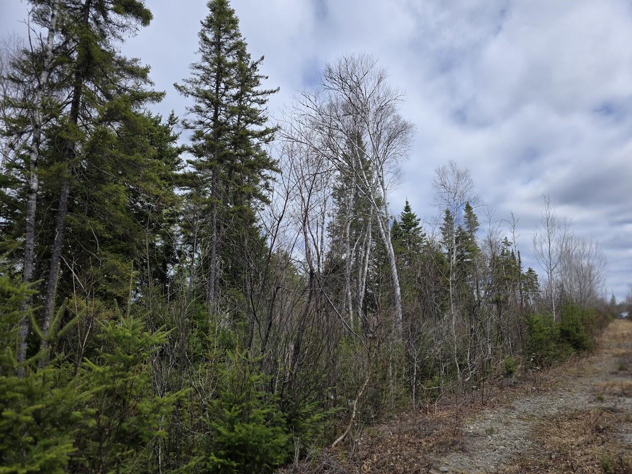 4 Gendreau Road Madawaska, ME 04773 - Photo 10 of 16