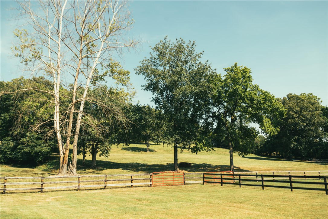 2026 Dry Creek Road St. Joe, AR 72675 - Photo 10 of 60 Expansive pastoral grounds featuring mature shade trees, including a striking white-barked specimen, lush manicured lawn, and split-rail fencing throughout the property