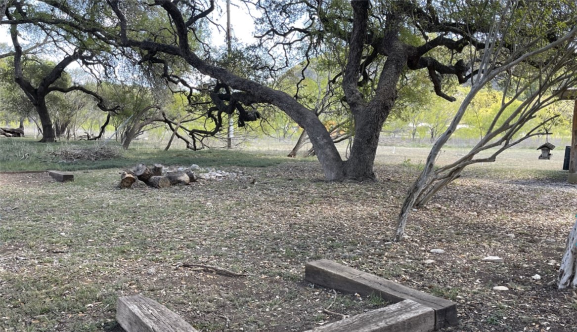 197 Tomahawk Way Concan, TX 78838 - Photo 12 of 18 a view of backyard with large trees