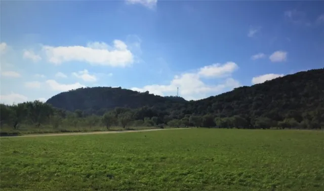 a view of a backyard with green space