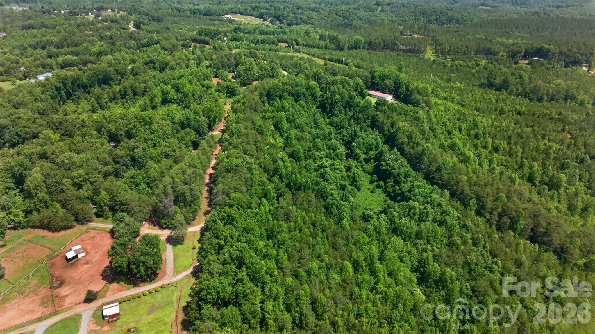 66 Misery Ridge Mill Spring, NC 28756 - Photo 39 of 43