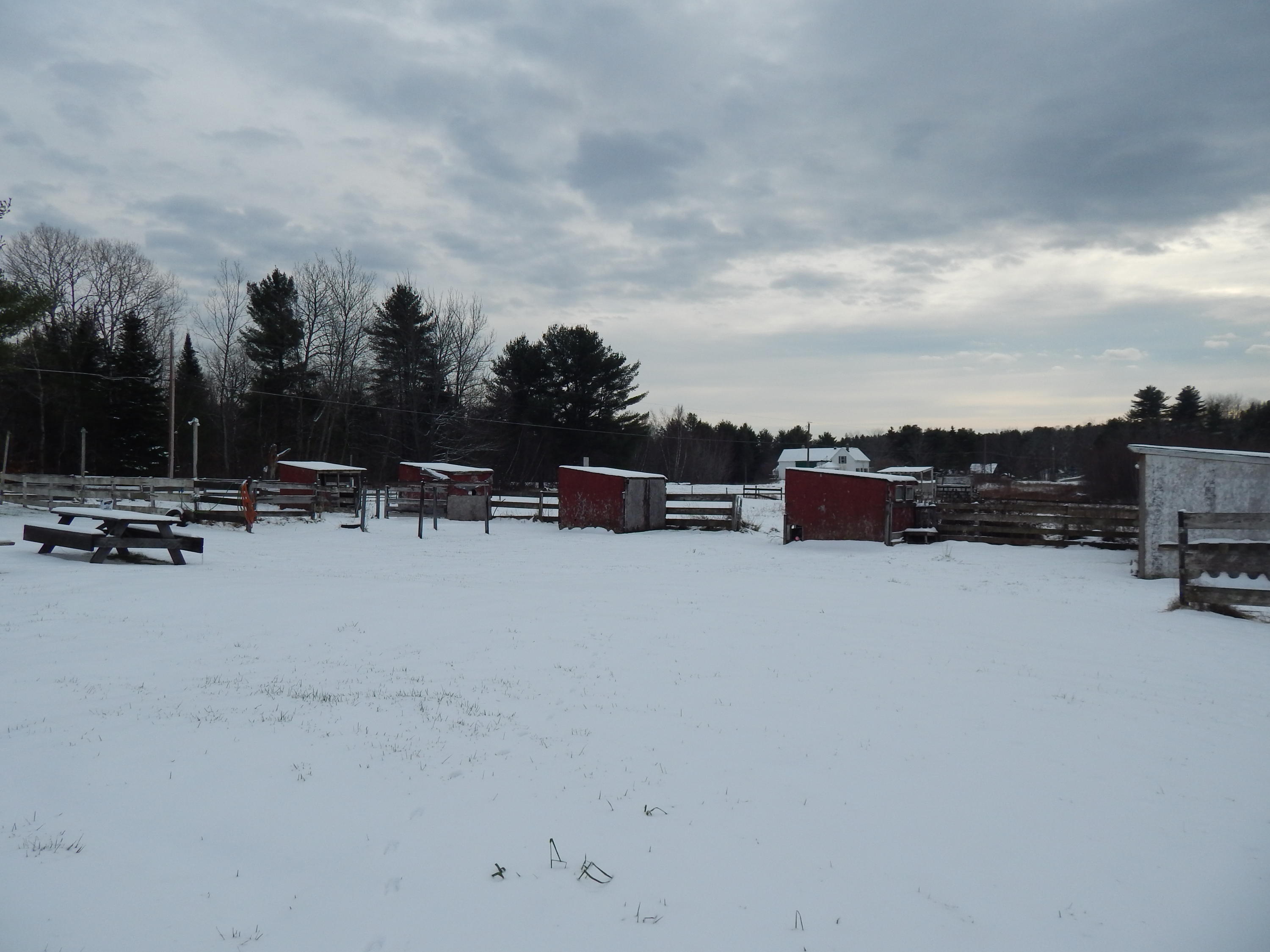 710 Dodlin Road Enfield, ME 04493 - Photo 19 of 23 DSCN4427