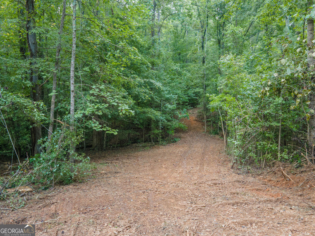0 Brazell Road Fairburn, GA 30213 - Photo 8 of 27 Gallery Image 8
