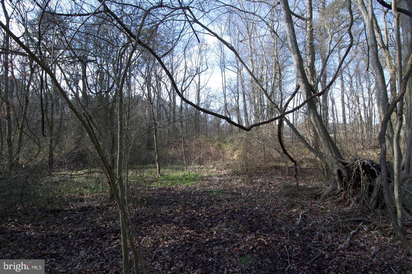7 Libertytown Road Berlin, MD 21811 - Photo 44 of 77 Gallery Image 44