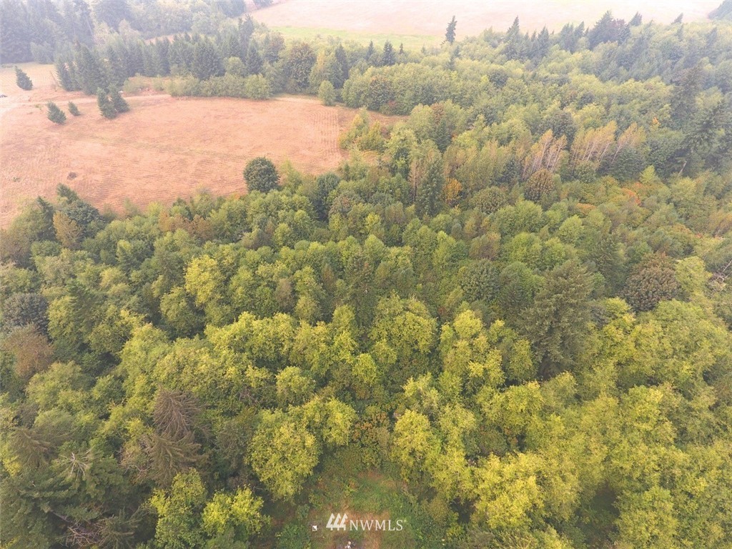 371 Dluhosh Road Onalaska, WA 98570 - Photo 24 of 25 Gallery Image 24
