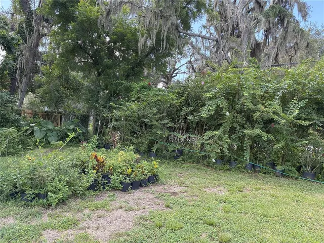 a view of yard from a yard