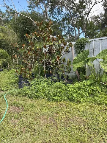 a view of a back yard