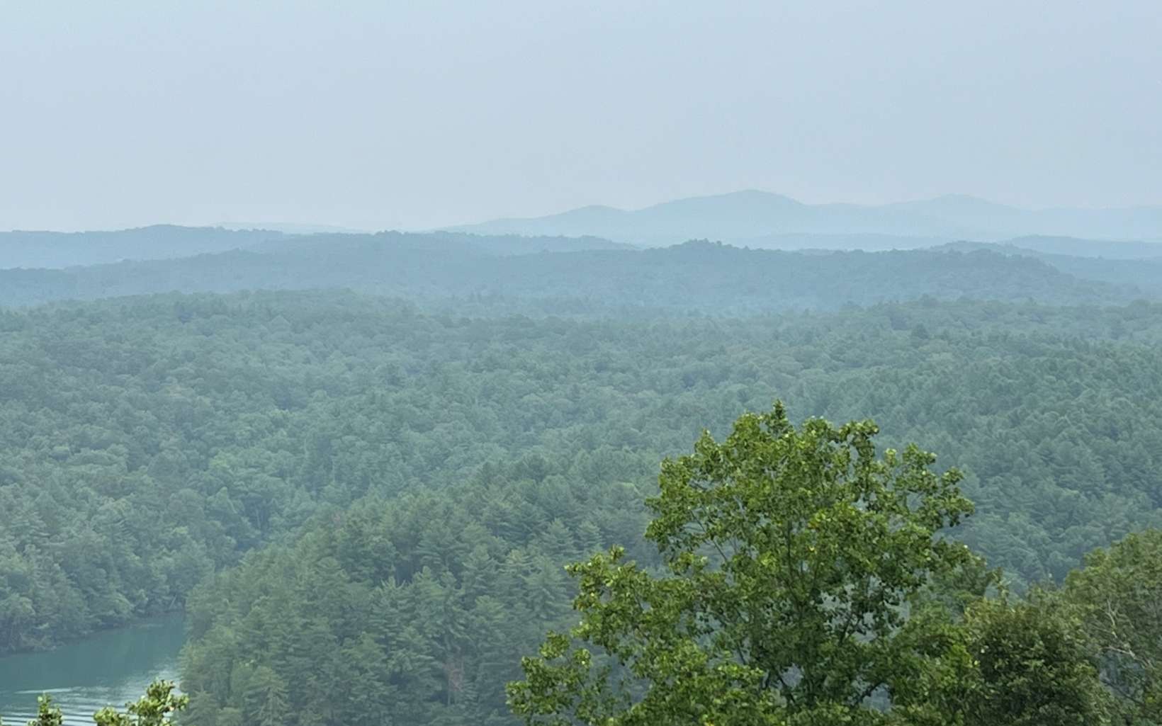 Lt140 Genessee Path Blue Ridge, GA 30513 - Photo 3 of 19 Additional View