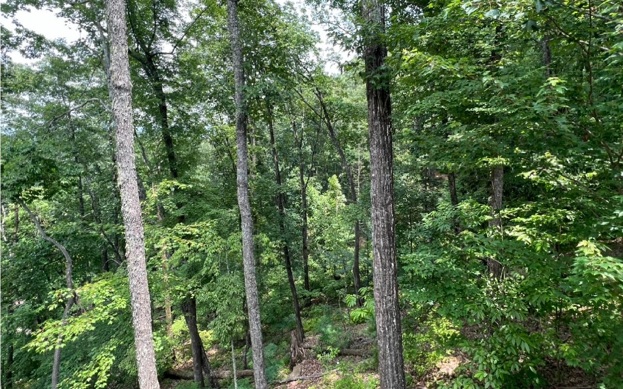 Lt140 Genessee Path Blue Ridge, GA 30513 - Photo 5 of 19 Additional View