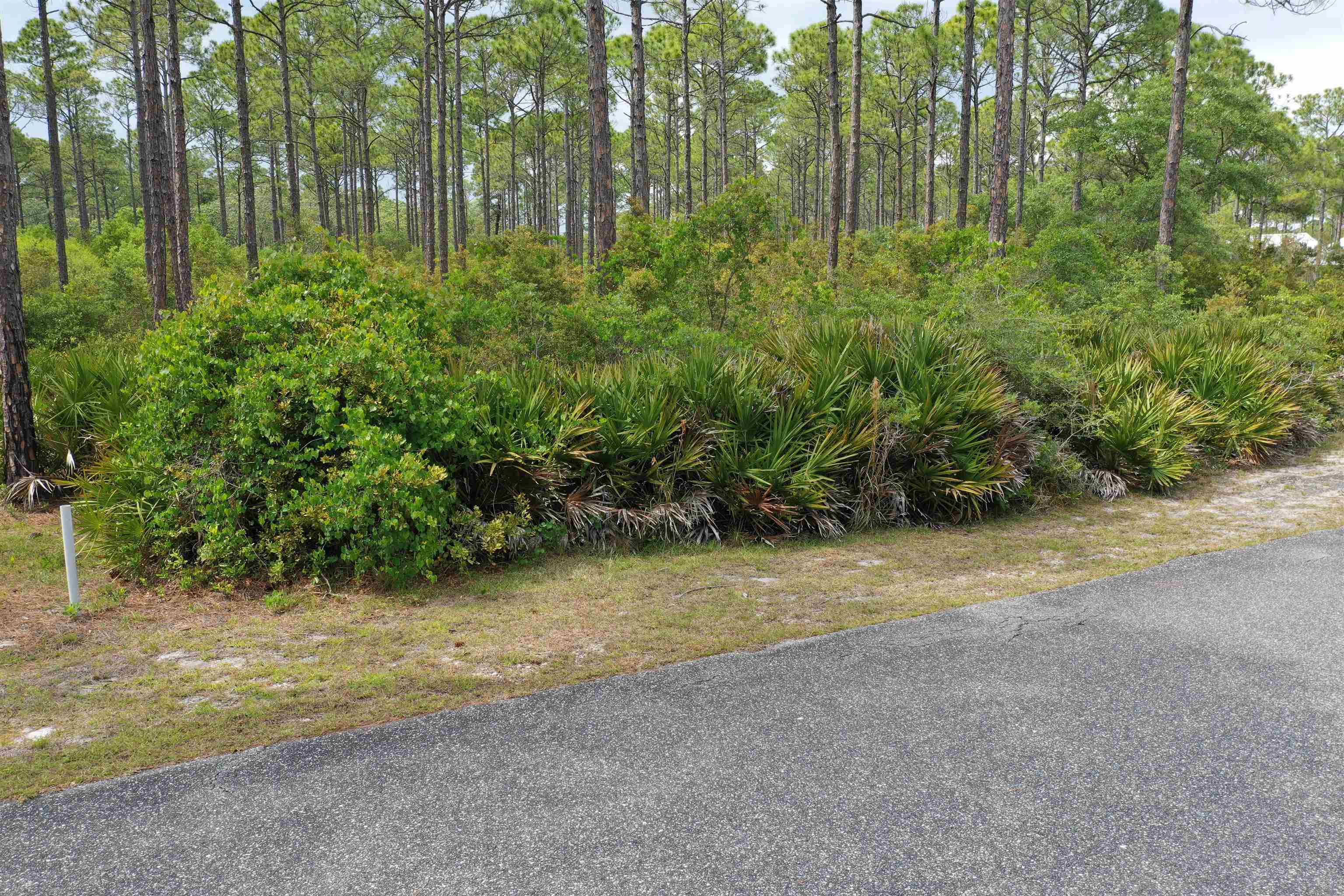 133 Fishhook Way Sopchoppy, FL 32358 - Photo 28 of 28