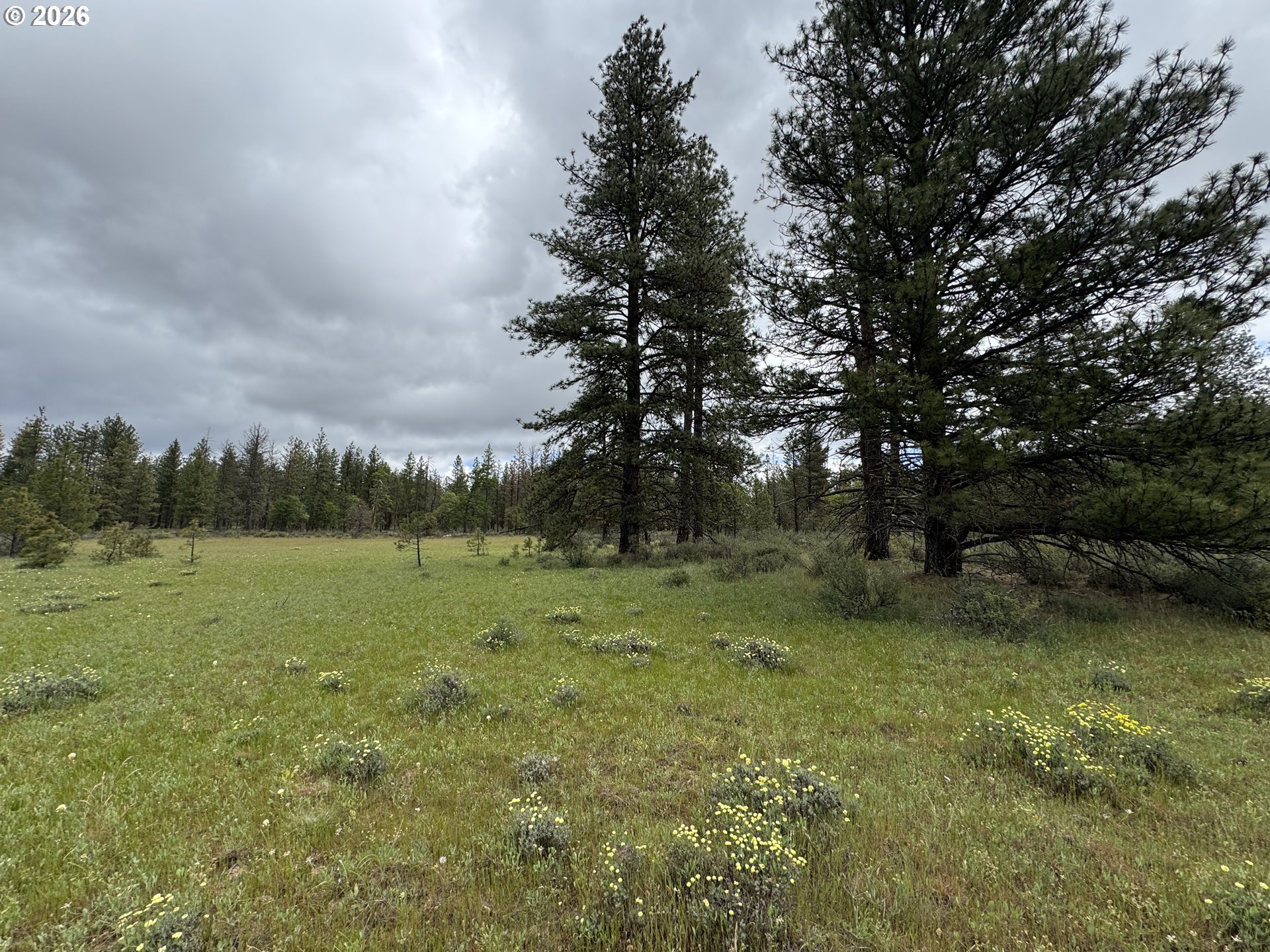 Old Mountain Road Goldendale, WA 98620 - Photo 29 of 41