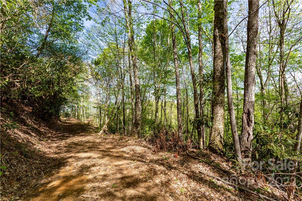 40 Fox Loop Trail, Unit 40 Cherokee, NC 28719 - Photo 11 of 24 Gallery Image 11