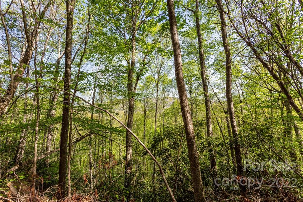 40 Fox Loop Trail, Unit 40 Cherokee, NC 28719 - Photo 12 of 24 Gallery Image 12