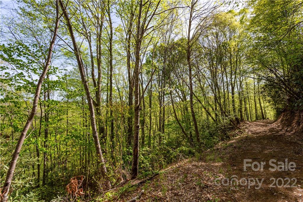 40 Fox Loop Trail, Unit 40 Cherokee, NC 28719 - Photo 14 of 24 Gallery Image 14