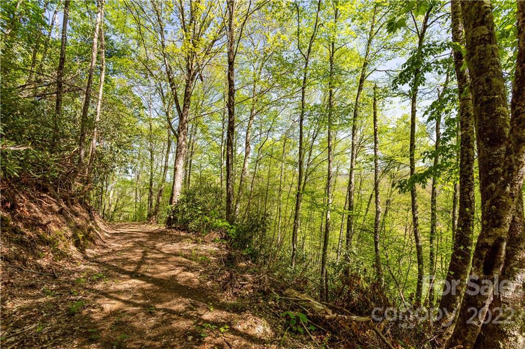 40 Fox Loop Trail, Unit 40 Cherokee, NC 28719 - Photo 16 of 24 Gallery Image 16