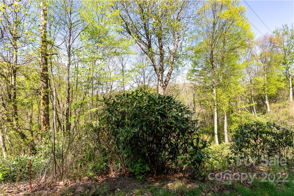 40 Fox Loop Trail, Unit 40 Cherokee, NC 28719 - Photo 21 of 24 Gallery Image 21