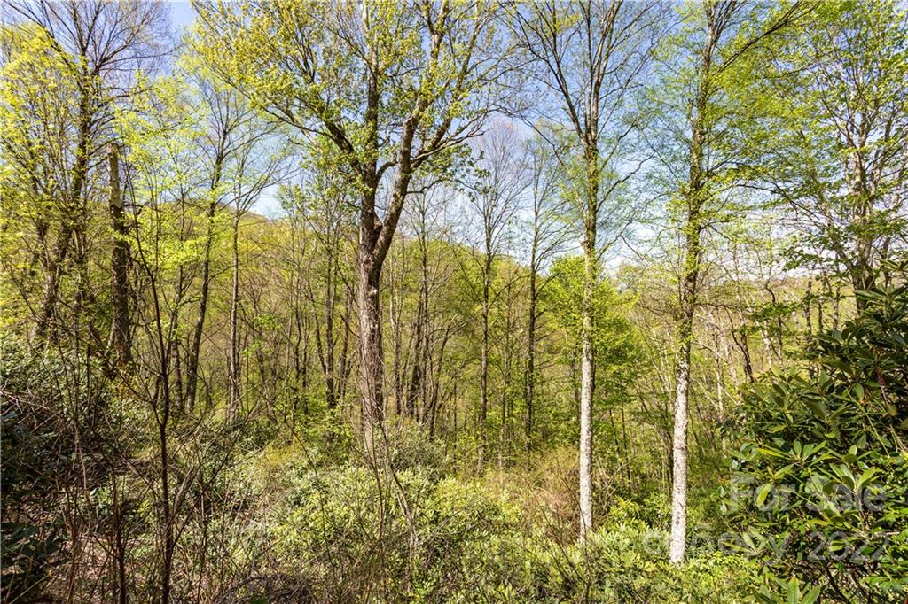 40 Fox Loop Trail, Unit 40 Cherokee, NC 28719 - Photo 22 of 24 Gallery Image 22