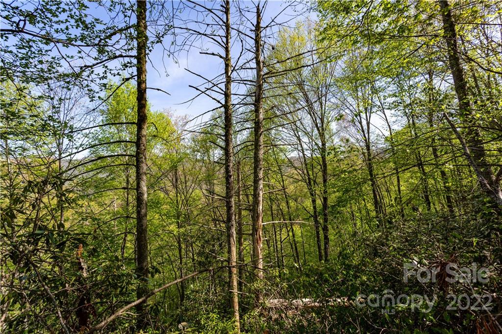 40 Fox Loop Trail, Unit 40 Cherokee, NC 28719 - Photo 3 of 24 Gallery Image 3