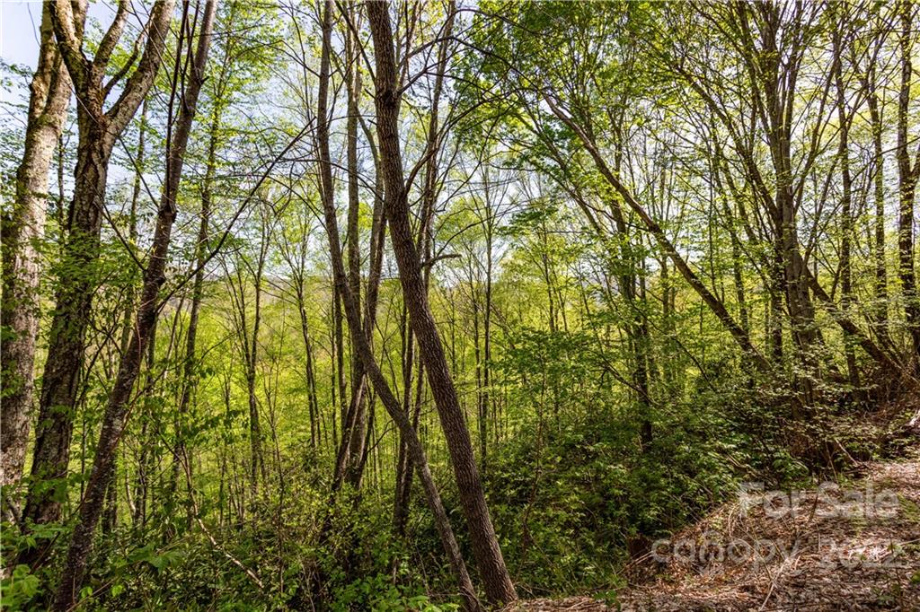 40 Fox Loop Trail, Unit 40 Cherokee, NC 28719 - Photo 6 of 24 Gallery Image 6