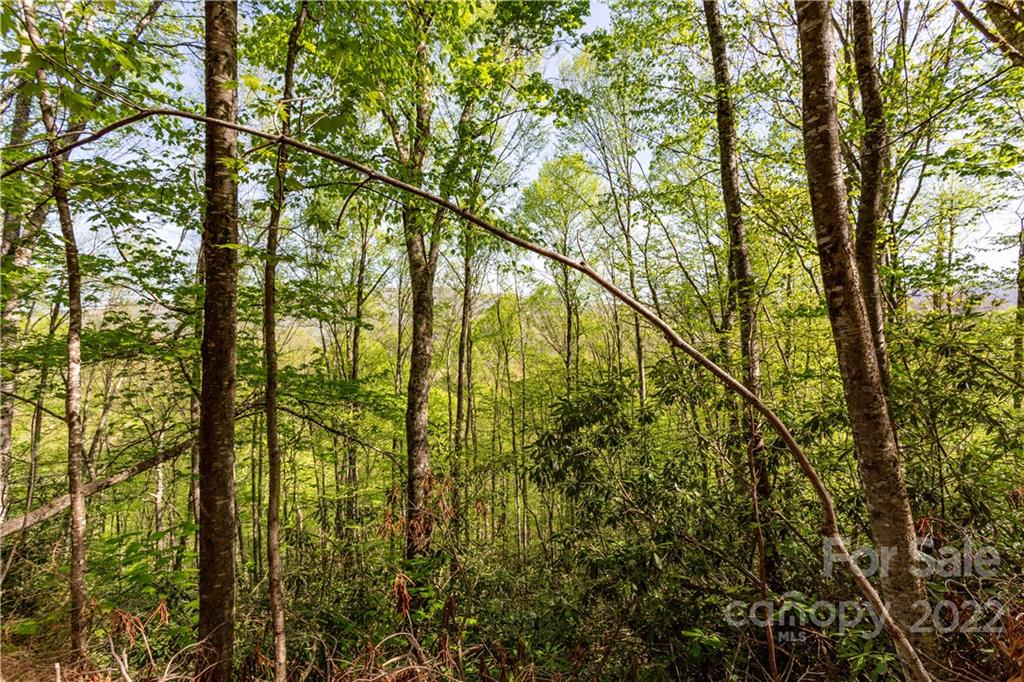 40 Fox Loop Trail, Unit 40 Cherokee, NC 28719 - Photo 7 of 24 Gallery Image 7