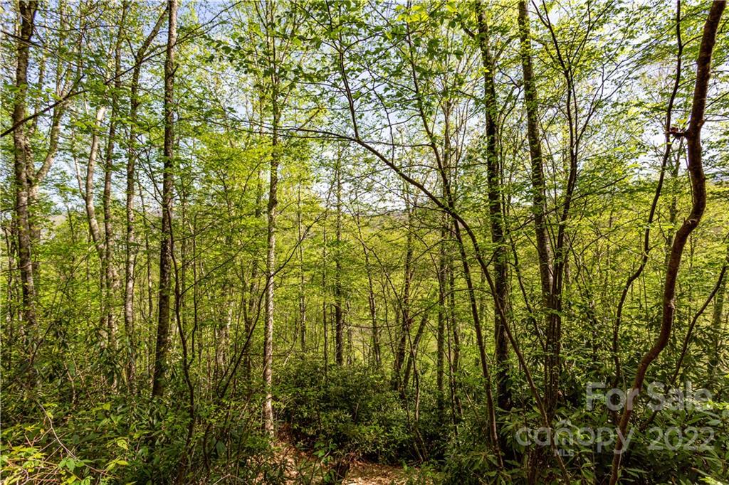 40 Fox Loop Trail, Unit 40 Cherokee, NC 28719 - Photo 8 of 24 Gallery Image 8