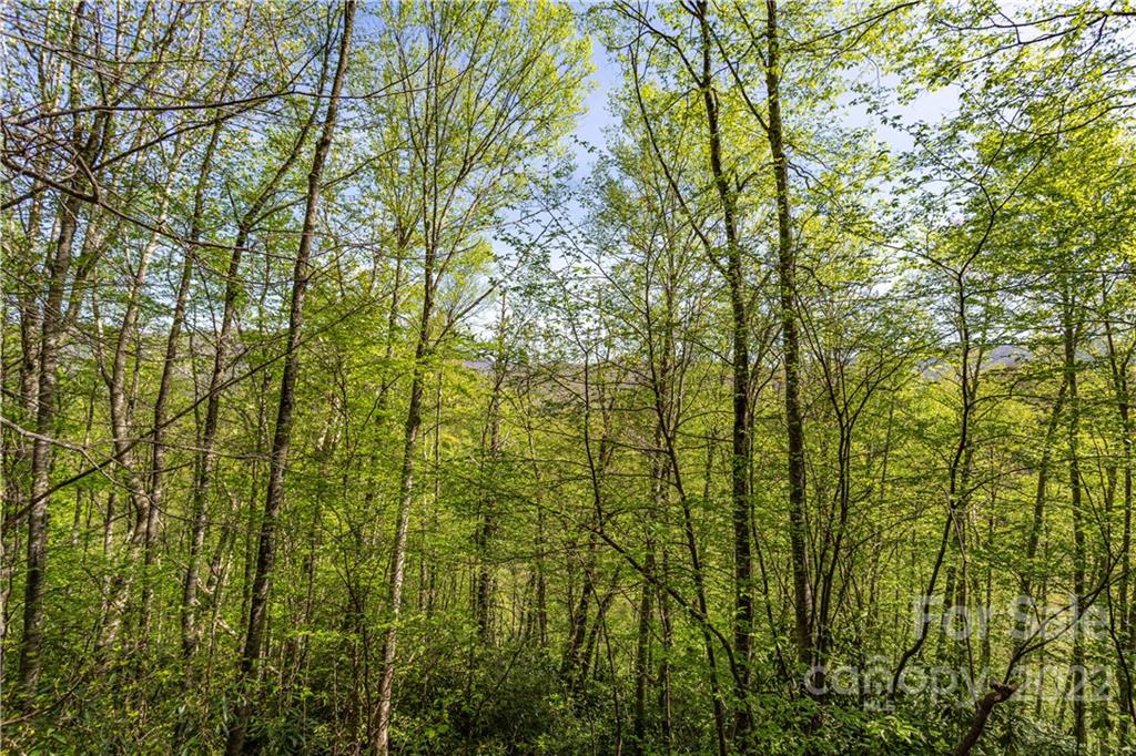 40 Fox Loop Trail, Unit 40 Cherokee, NC 28719 - Photo 10 of 24 Gallery Image 10
