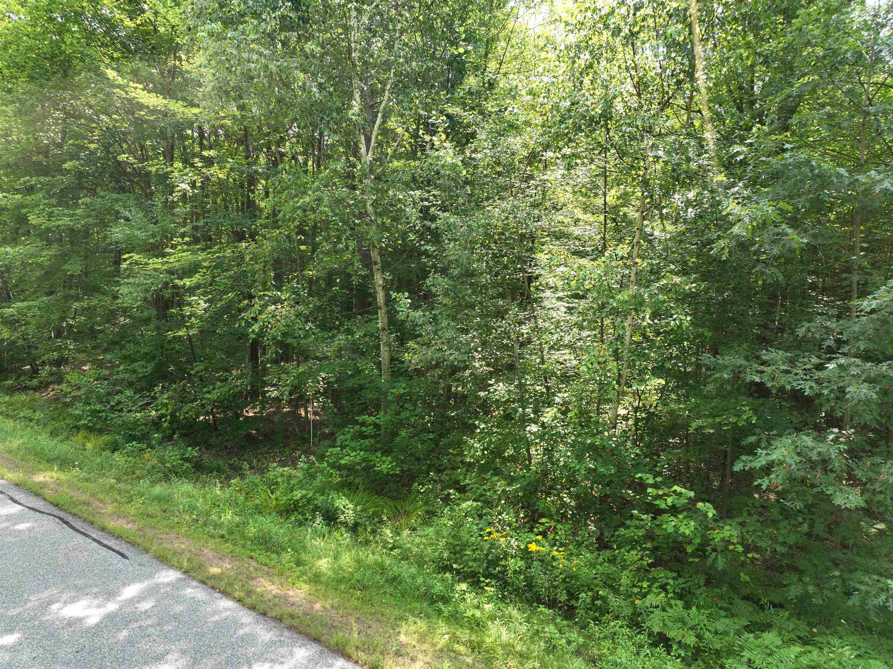 Lot 16 Burma Road Mosinee, WI 54455 - Photo 3 of 6 Gallery Image 3