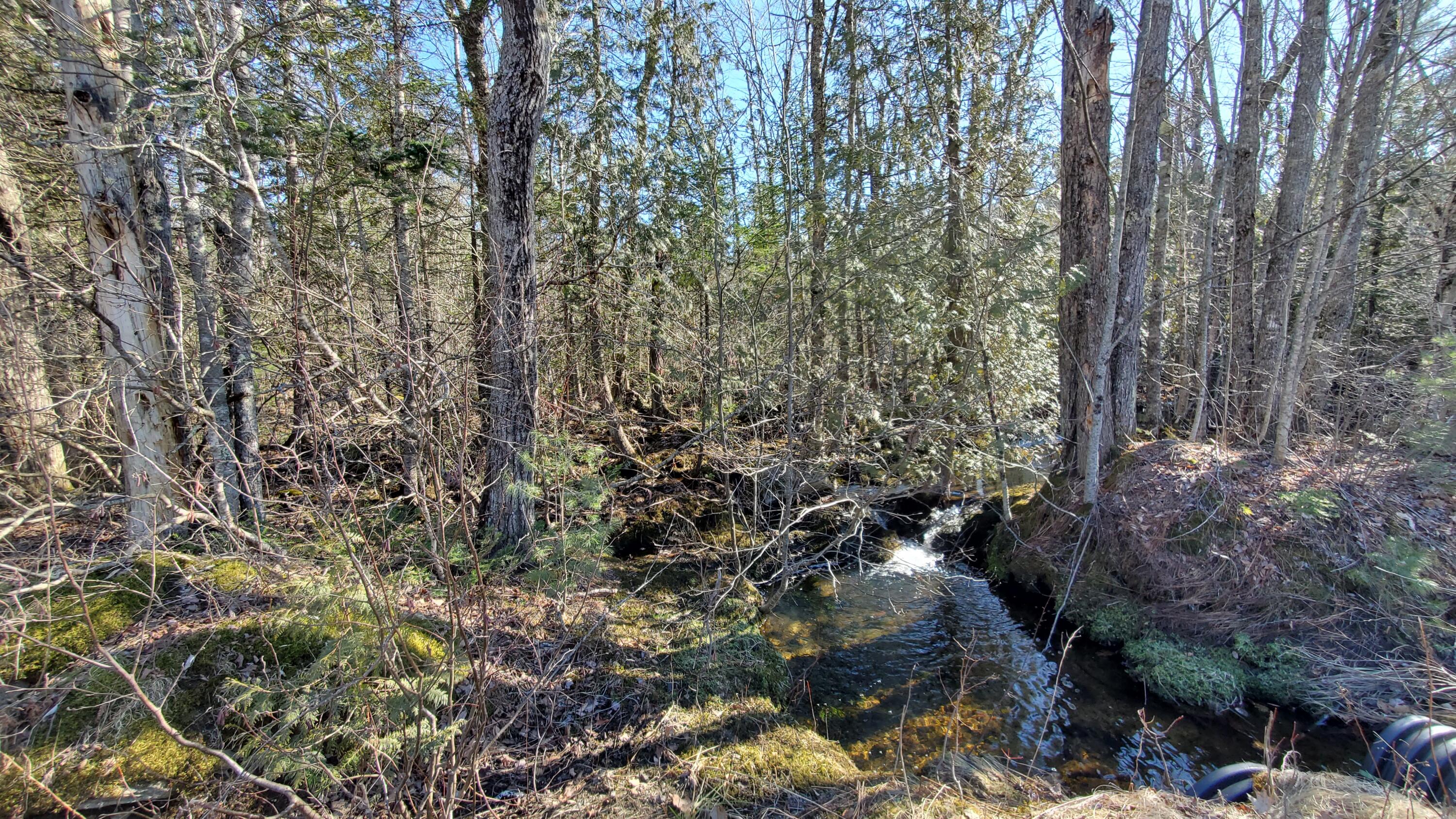M1-l57a Back Belmont Road Belfast, ME 04915 - Photo 10 of 20 new9