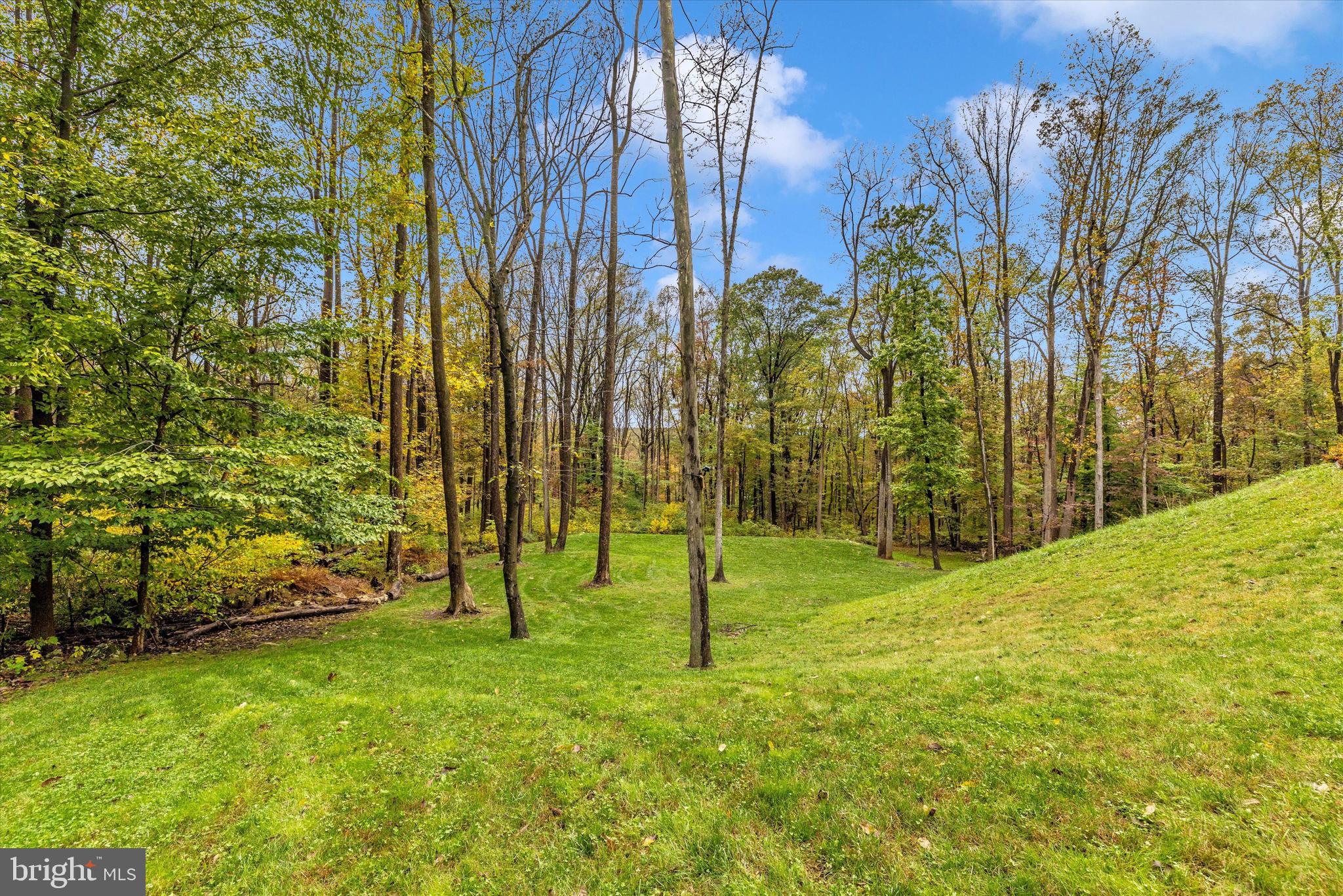 4940 Fox Tower Road Smithsburg, MD 21783 - Photo 35 of 41 a view of yard