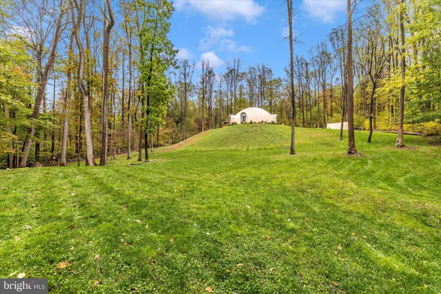 a view of backyard with tub and trees