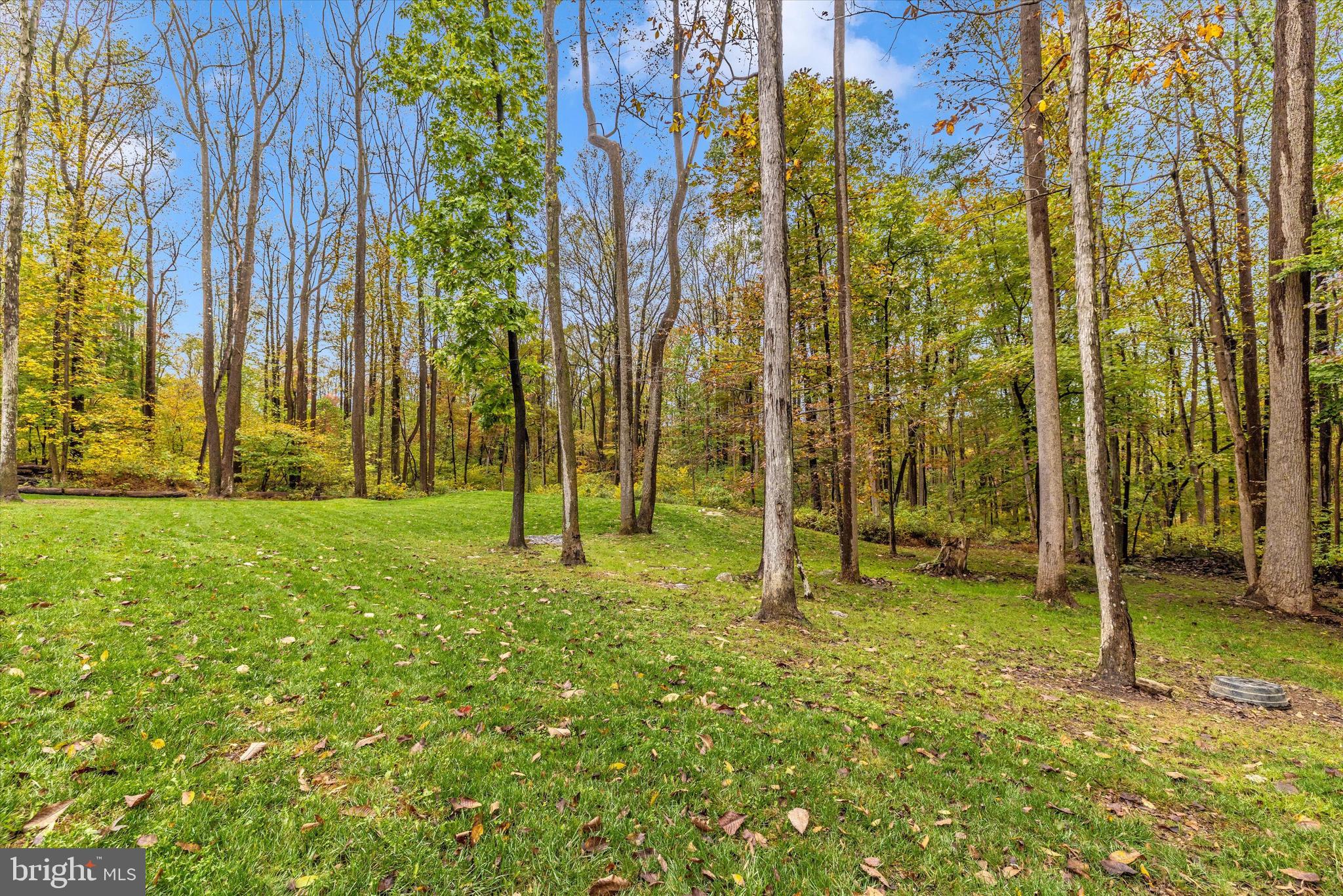 4940 Fox Tower Road Smithsburg, MD 21783 - Photo 37 of 41 a view of backyard with tub and trees