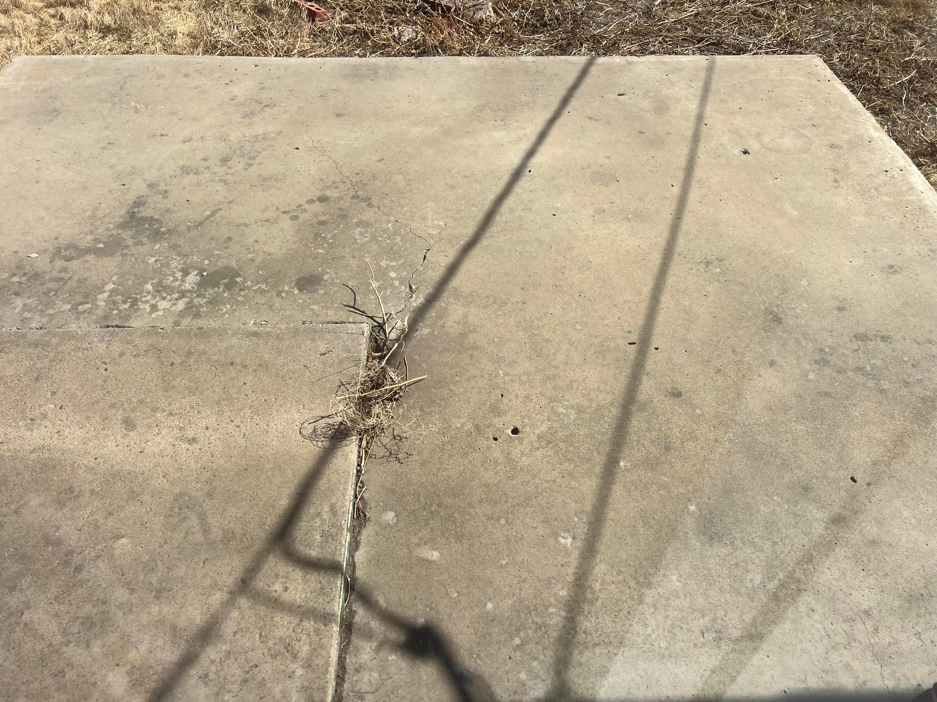 823 Latimer Street Borger, TX 79007 - Photo 32 of 33 IMG_4260