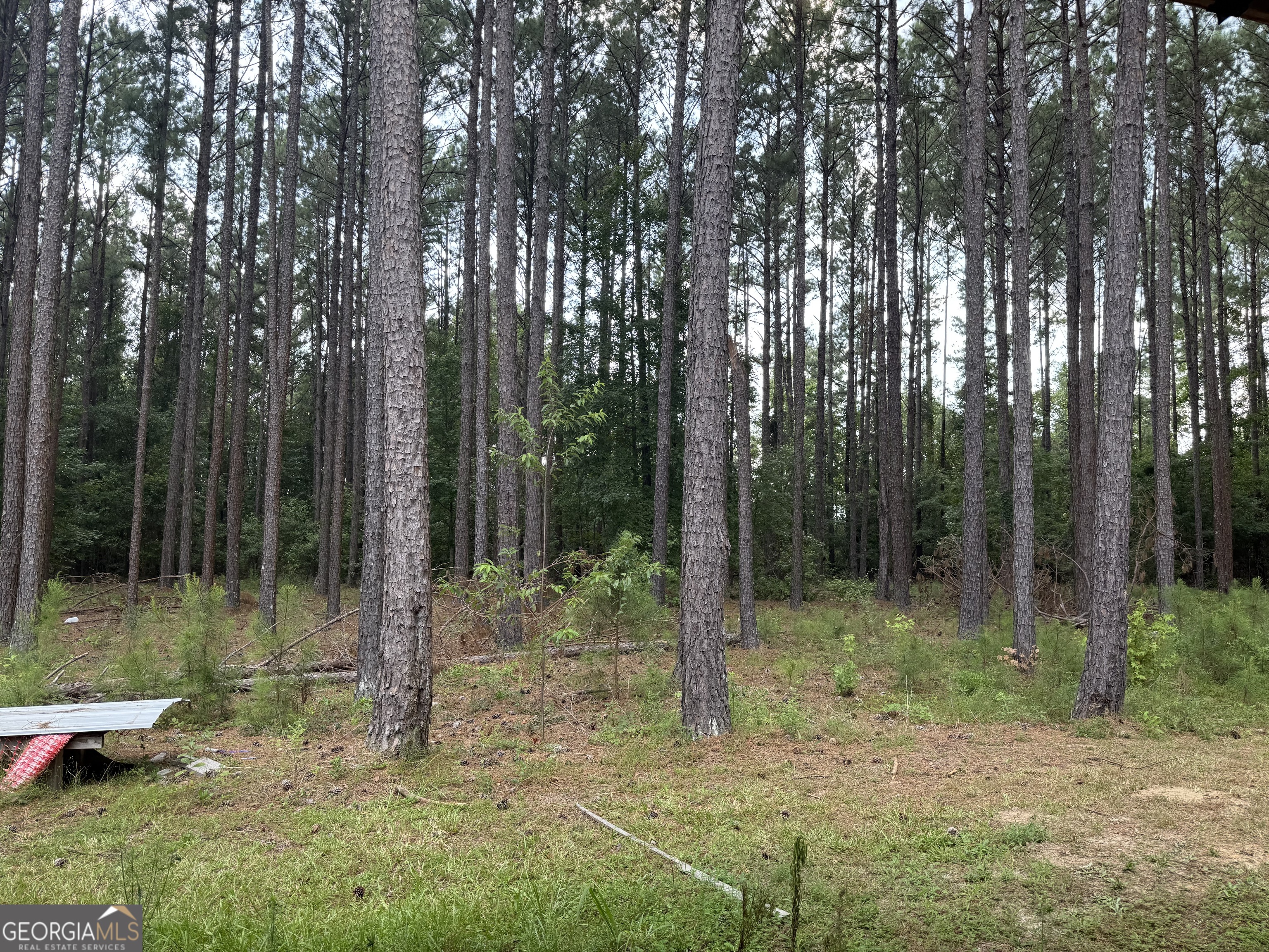 1550 Adabelle Road South Register, GA 30452 - Photo 18 of 20 a backyard of a house with lots of trees