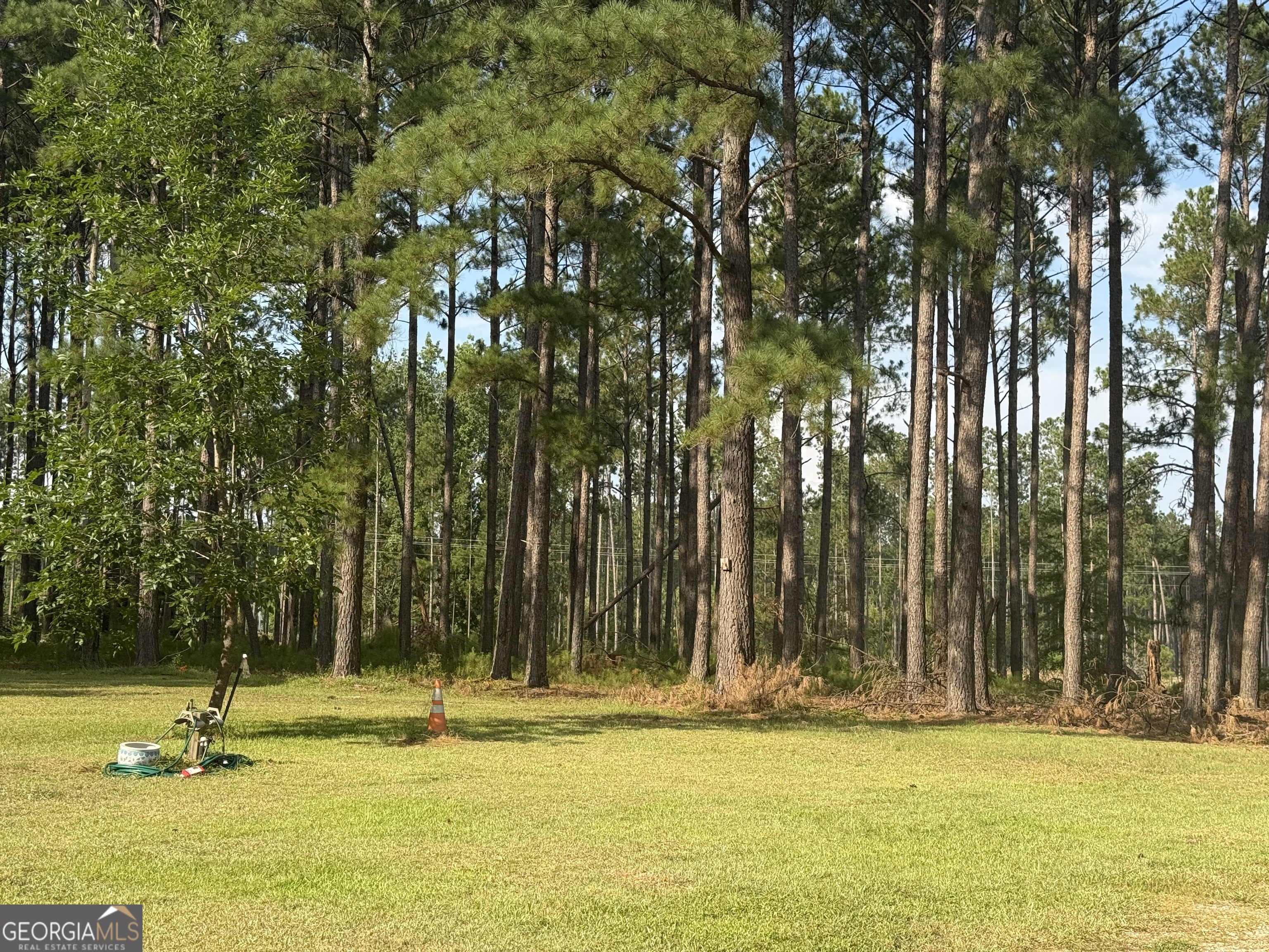 1550 Adabelle Road South Register, GA 30452 - Photo 2 of 20 a view of swimming pool and trees in the background